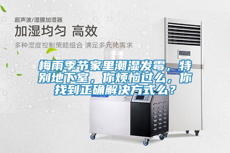梅雨季节家里潮湿发霉，特别地下室，你烦恼过么，你找到正确解决方式么？