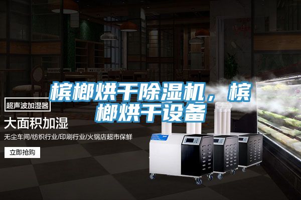 槟榔烘干除湿机，槟榔烘干设备