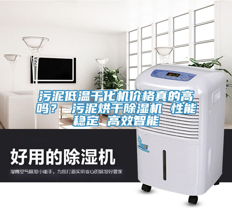 污泥低温干化机价格真的高吗？ 污泥烘干除湿机 性能稳定 高效智能