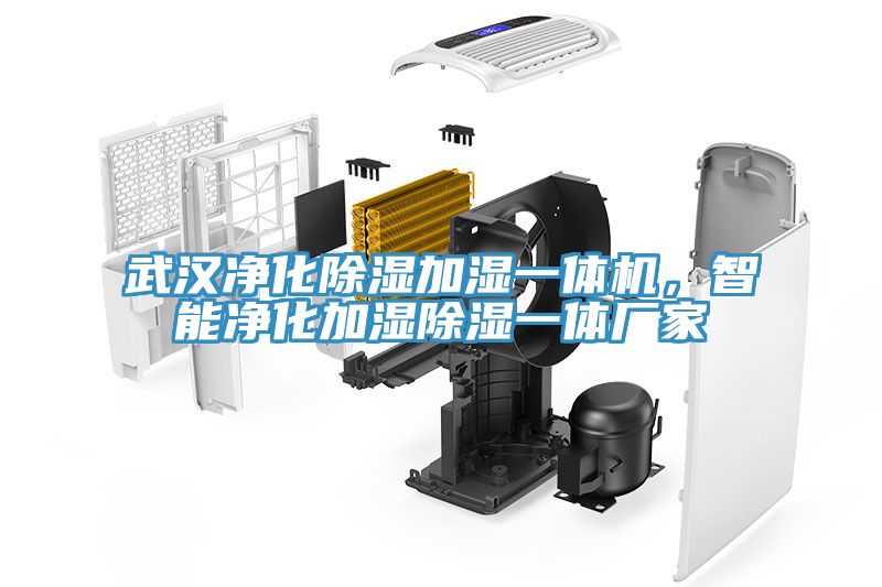 武汉净化除湿加湿一体机，智能净化加湿除湿一体厂家