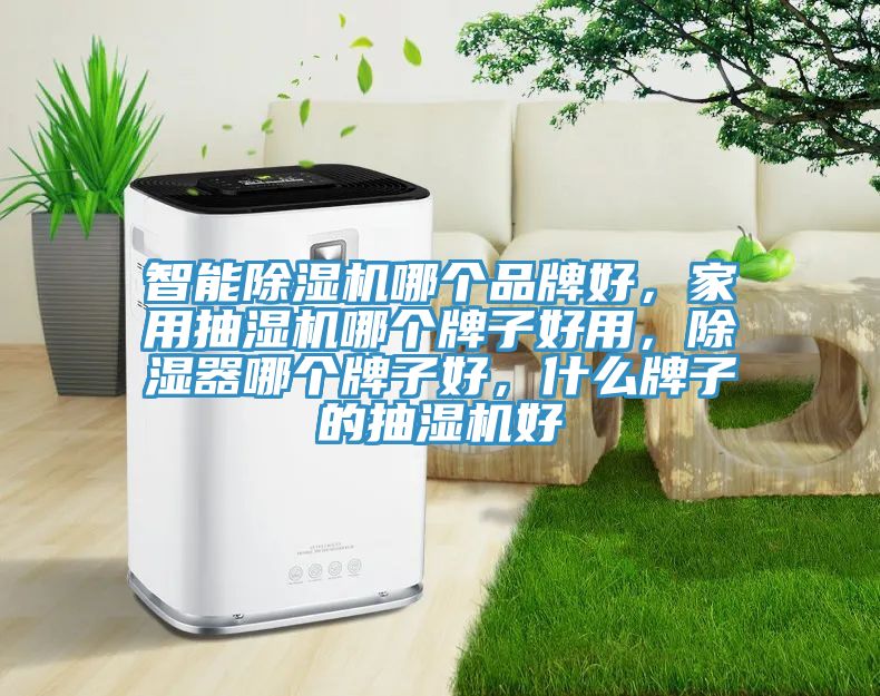 智能除湿机哪个品牌好，家用抽湿机哪个牌子好用，除湿器哪个牌子好，什么牌子的抽湿机好