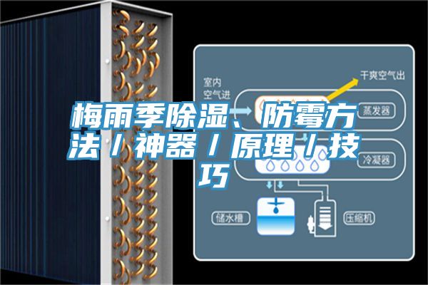 梅雨季除湿、防霉方法／神器／原理／技巧