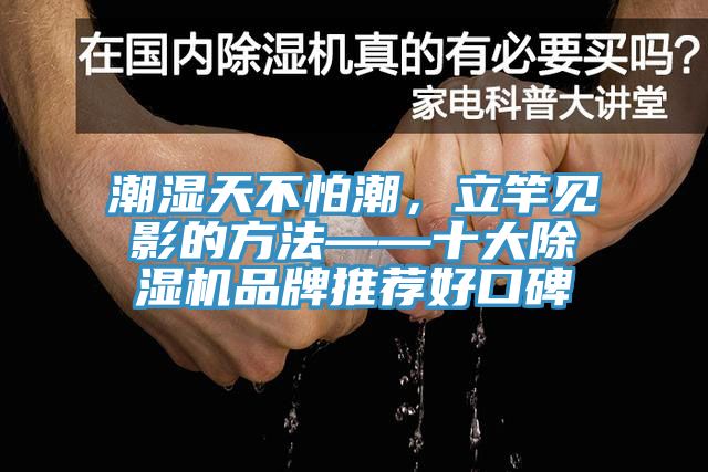 潮湿天不怕潮，立竿见影的方法——十大除湿机品牌推荐好口碑