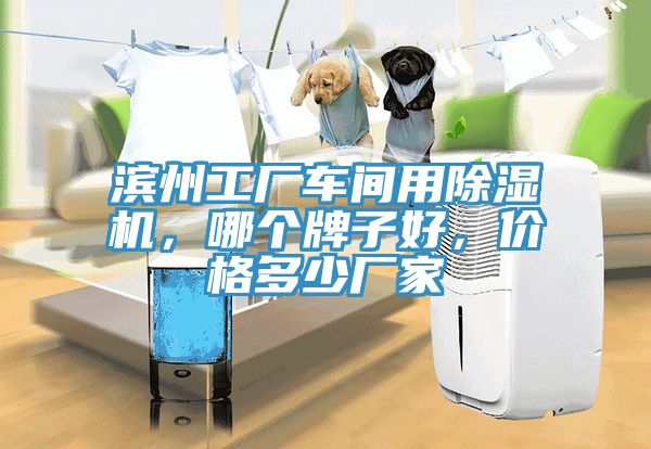 滨州工厂车间用除湿机，哪个牌子好，价格多少厂家