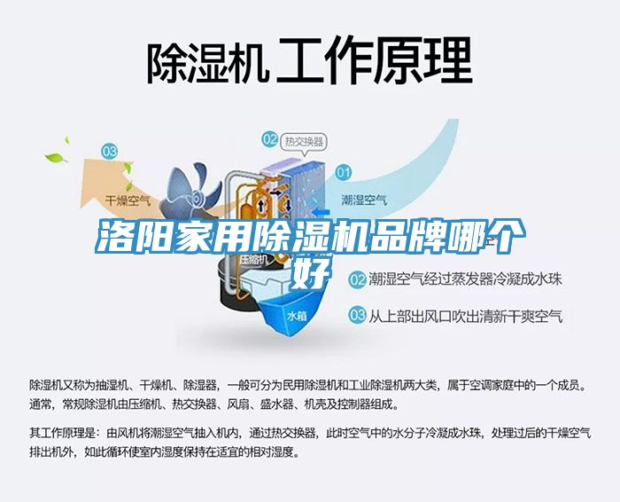 洛阳家用除湿机品牌哪个好