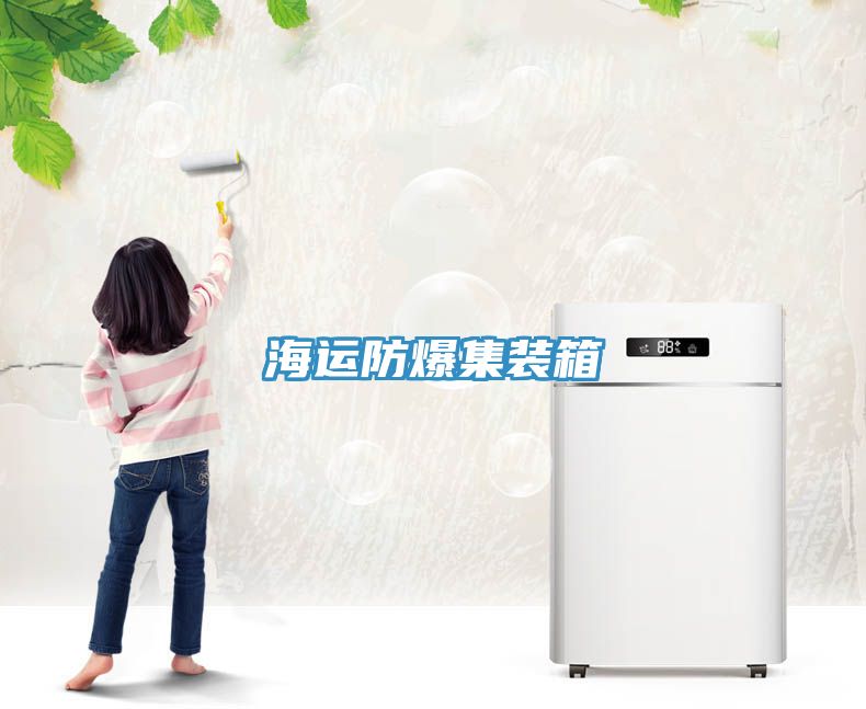 海运防爆集装箱