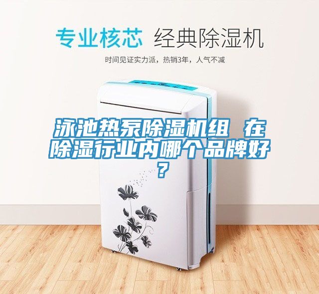 泳池热泵除湿机组 在除湿行业内哪个品牌好？
