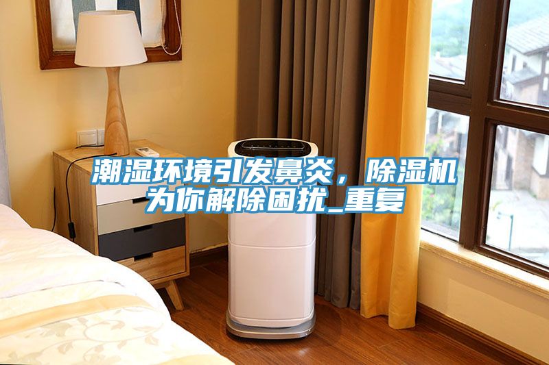潮湿环境引发鼻炎，除湿机为你解除困扰_重复