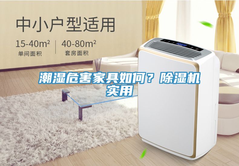 潮湿危害家具如何？除湿机实用