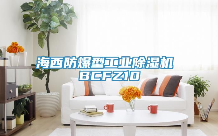 海西防爆型工业除湿机 BCFZ10