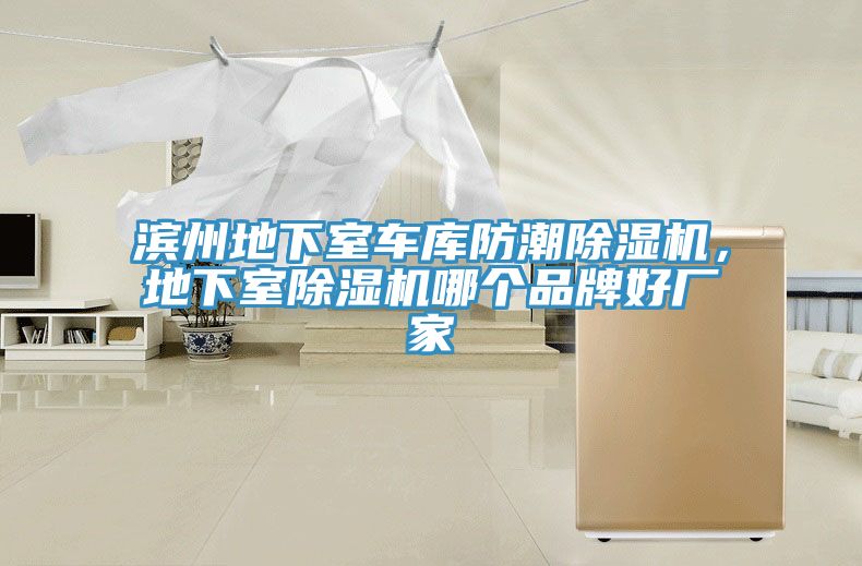 滨州地下室车库防潮除湿机，地下室除湿机哪个品牌好厂家
