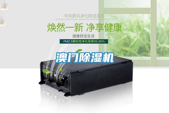 澳门除湿机