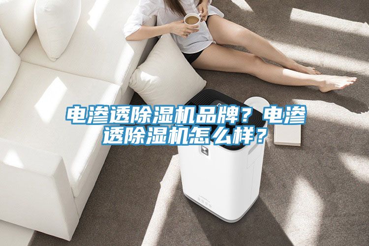 电渗透除湿机品牌？电渗透除湿机怎么样？