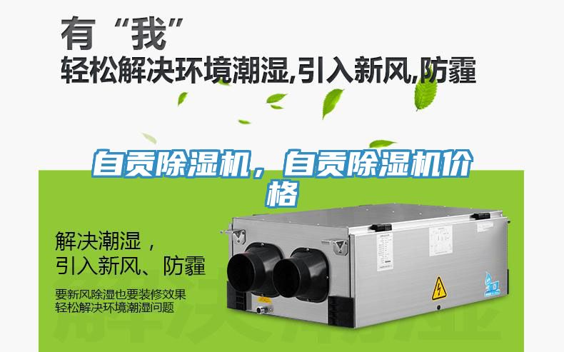 自贡除湿机，自贡除湿机价格