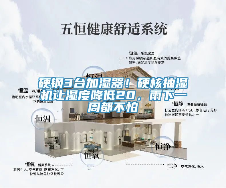 硬钢3台加湿器！硬核抽湿机让湿度降低20，雨下一周都不怕