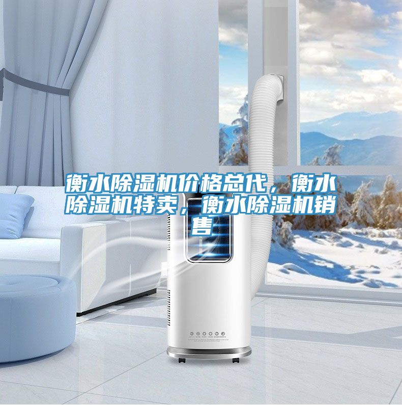 衡水除湿机价格总代，衡水除湿机特卖，衡水除湿机销售