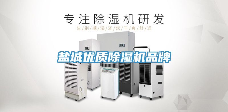 盐城优质除湿机品牌