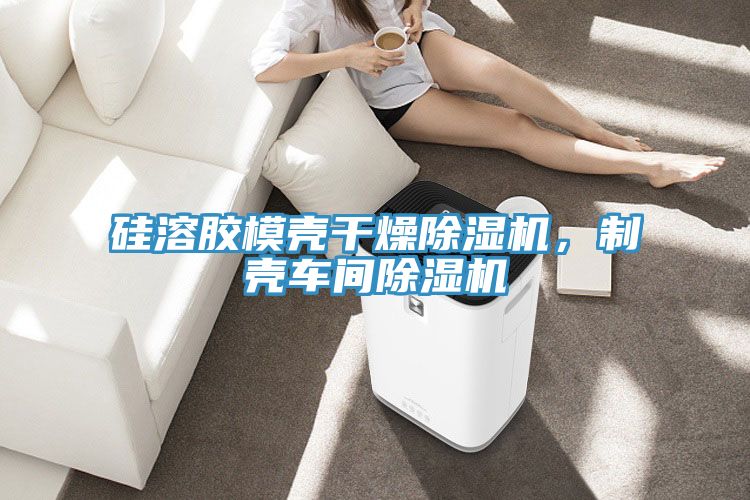 硅溶胶?？歉稍锍?，制壳车间除湿机