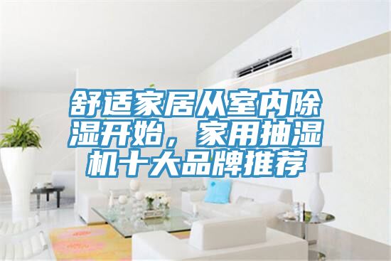 舒适家居从室内除湿开始，家用抽湿机十大品牌推荐