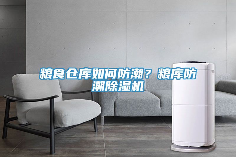粮食仓库如何防潮？粮库防潮除湿机
