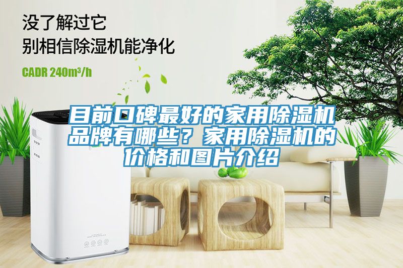 目前口碑最好的家用除湿机品牌有哪些？家用除湿机的价格和图片介绍