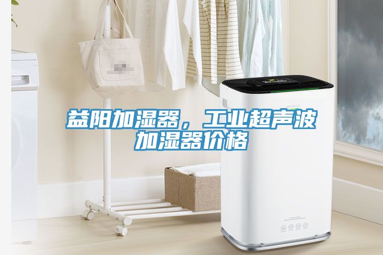 益阳加湿器，工业超声波加湿器价格