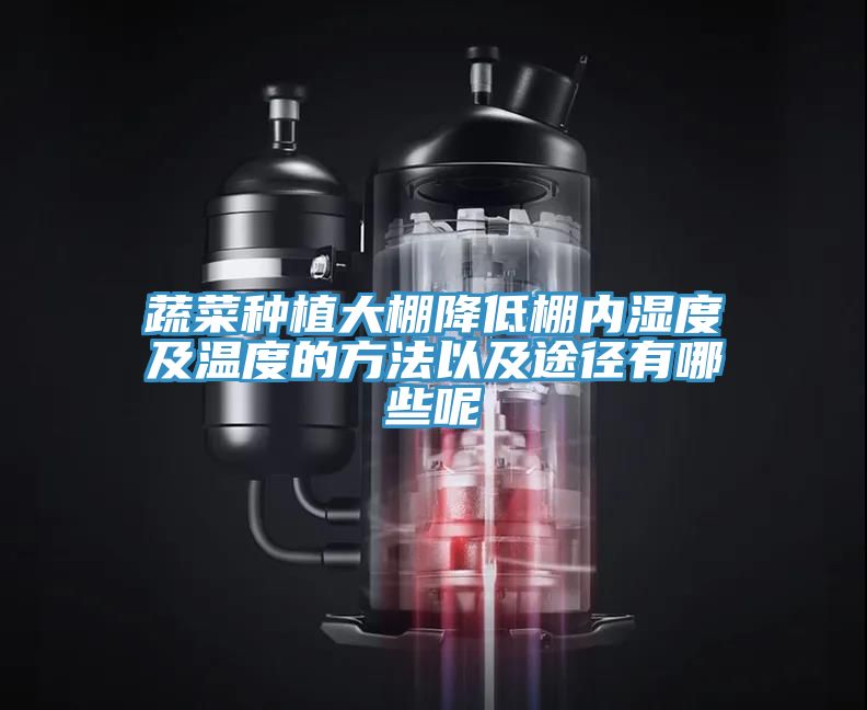 蔬菜种植大棚降低棚内湿度及温度的方法以及途径有哪些呢