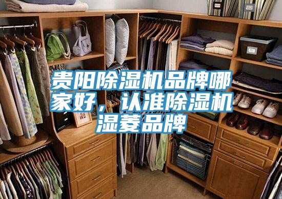 贵阳除湿机品牌哪家好，认准除湿机湿菱品牌