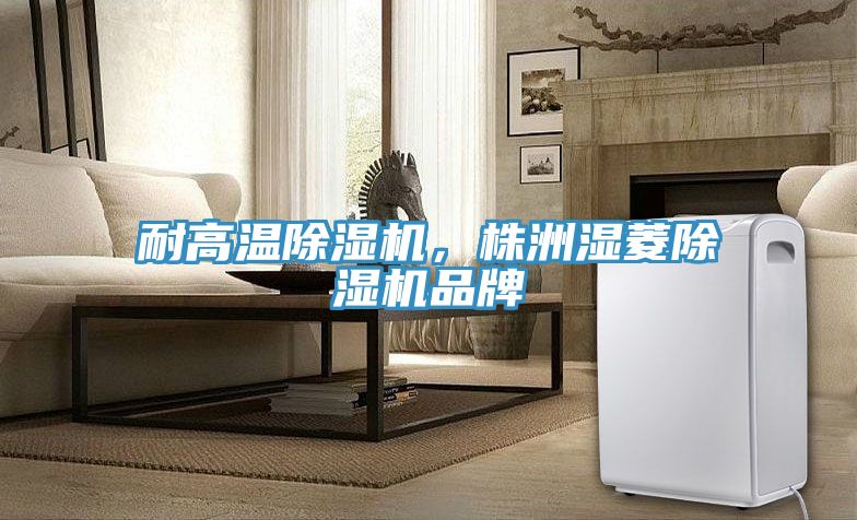耐高温除湿机，株洲湿菱除湿机品牌