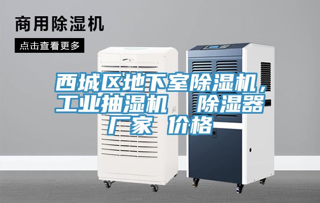 西城区地下室除湿机，工业抽湿机  除湿器厂家 价格