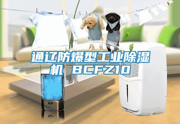 通辽防爆型工业除湿机 BCFZ10