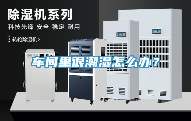 车间里很潮湿怎么办？
