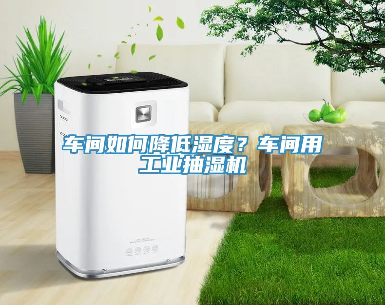 车间如何降低湿度？车间用工业抽湿机