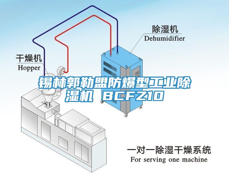 锡林郭勒盟防爆型工业除湿机 BCFZ10