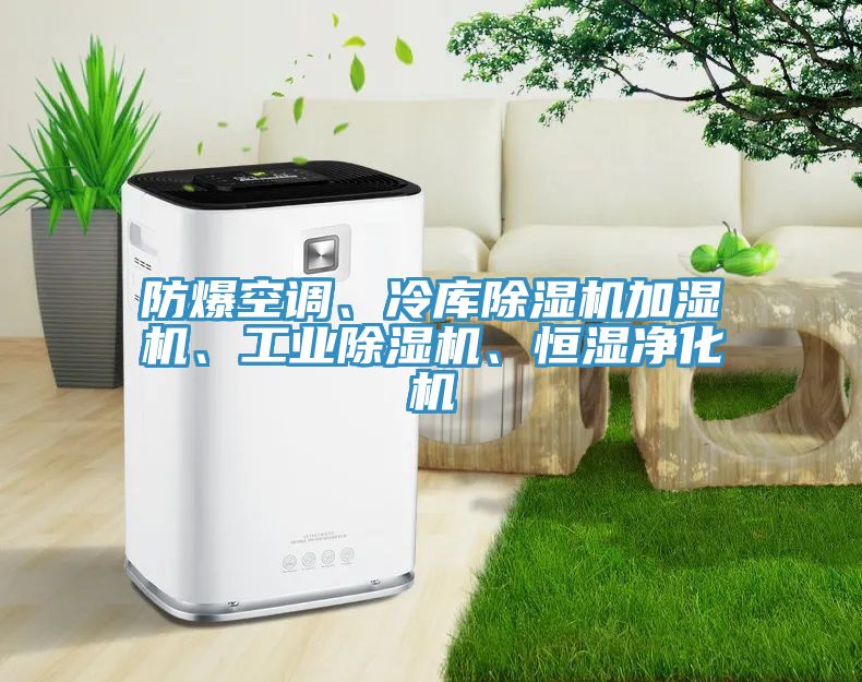 防爆空调、冷库除湿机加湿机、工业除湿机、恒湿净化机