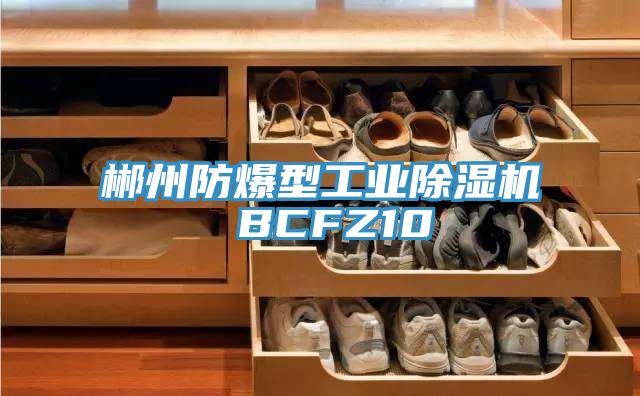 郴州防爆型工业除湿机 BCFZ10