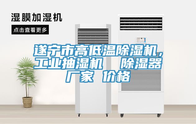 遂宁市高低温除湿机，工业抽湿机  除湿器厂家 价格