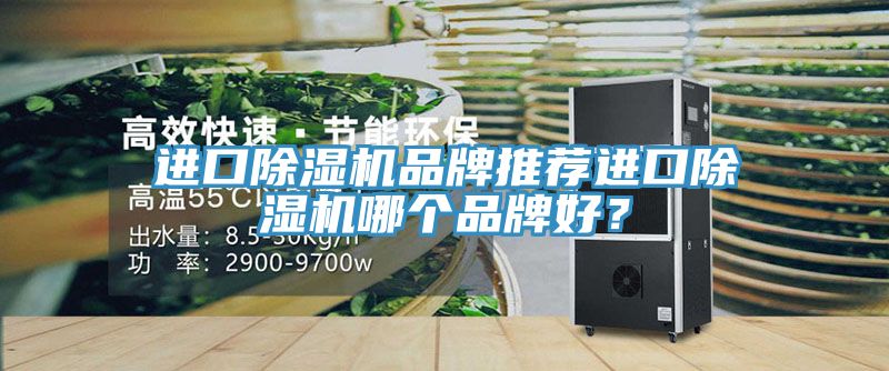 进口除湿机品牌推荐进口除湿机哪个品牌好？