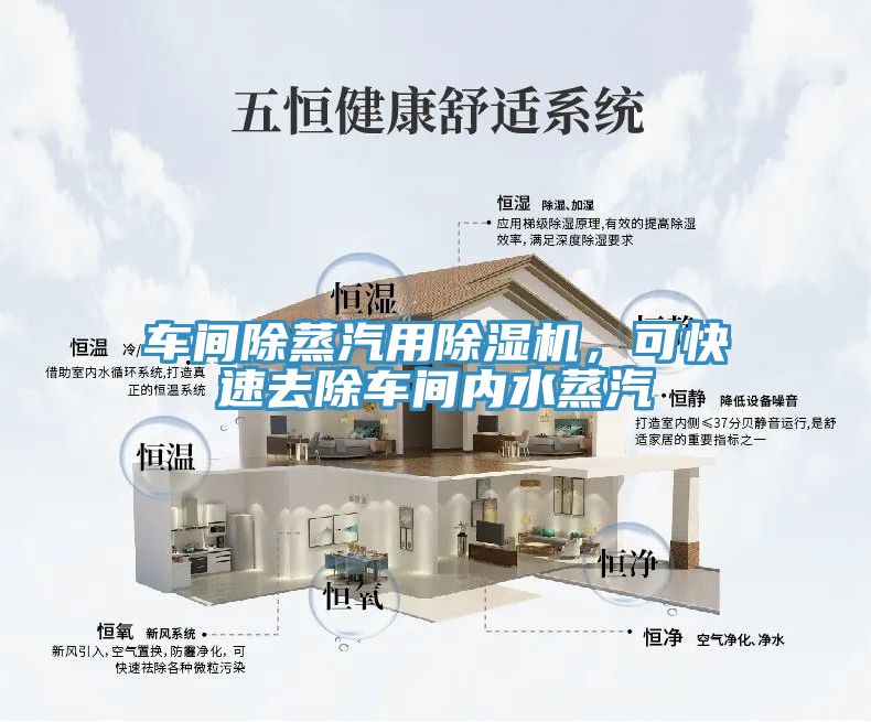 车间除蒸汽用除湿机，可快速去除车间内水蒸汽