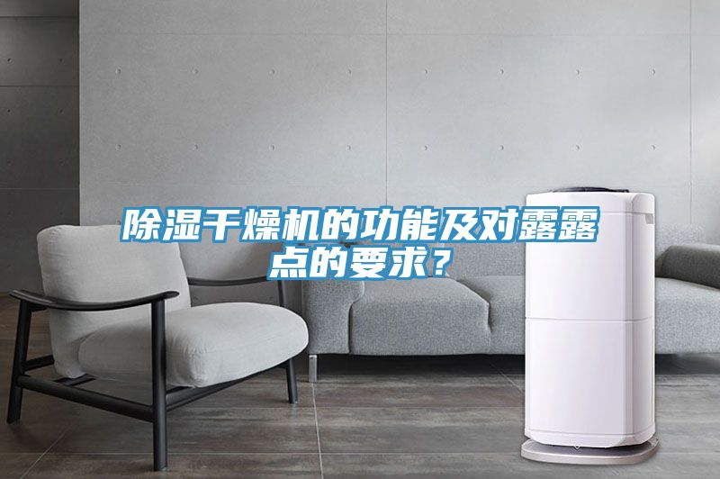 除湿干燥机的功能及对露露点的要求？