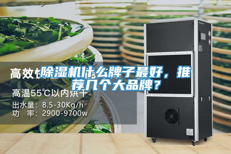 除湿机什么牌子最好，推荐几个大品牌？