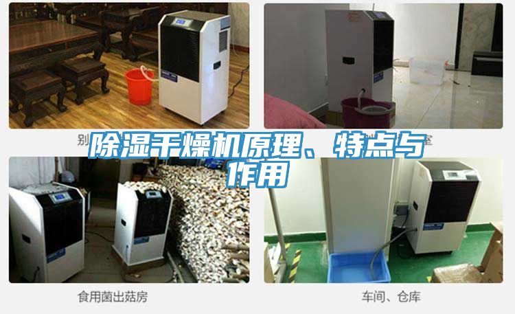 除湿干燥机原理、特点与作用