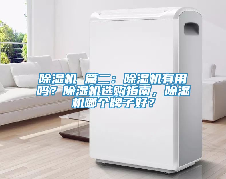除湿机 篇二：除湿机有用吗？除湿机选购指南，除湿机哪个牌子好？