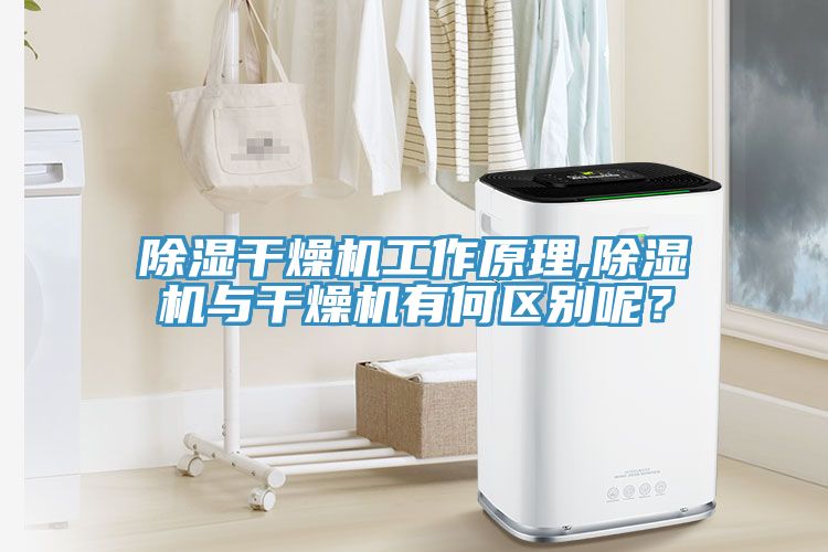 除湿干燥机工作原理,除湿机与干燥机有何区别呢？