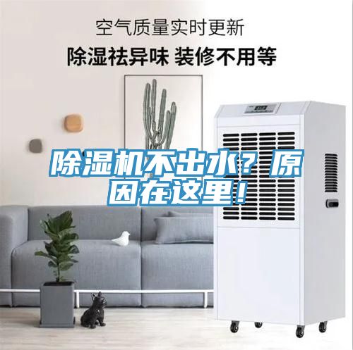除湿机不出水？原因在这里！