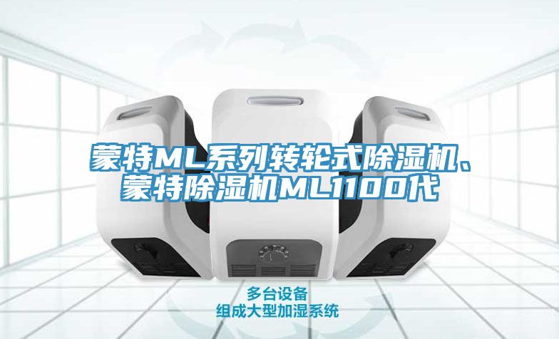 蒙特ML系列转轮式除湿机、蒙特除湿机ML1100代