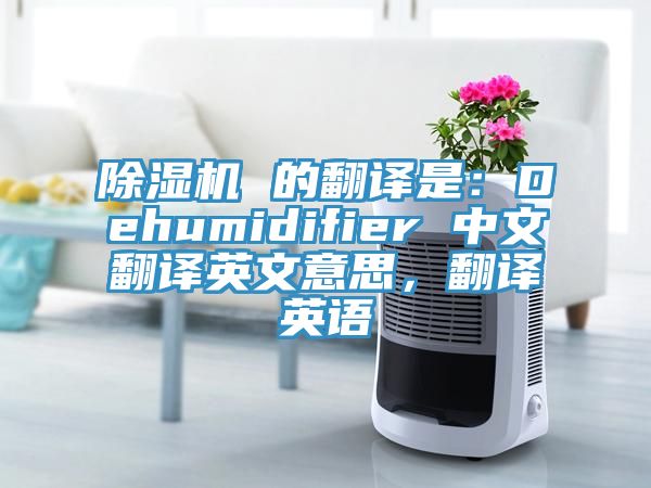 除湿机 的翻译是：Dehumidifier 中文翻译英文意思，翻译英语
