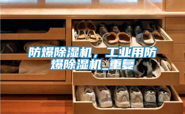防爆除湿机，工业用防爆除湿机_重复