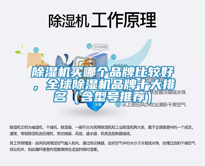 除湿机买哪个品牌比较好，全球除湿机品牌十大排名（含型号推荐）