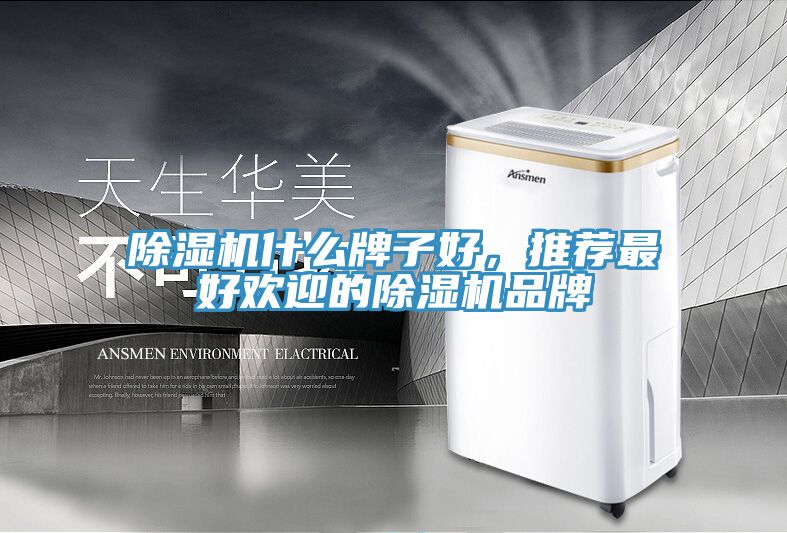 除湿机什么牌子好，推荐最好欢迎的除湿机品牌